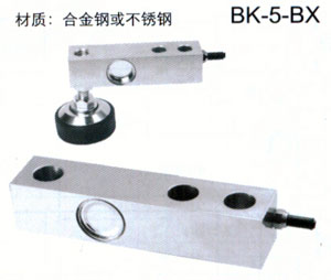 BK-5-BX 钢制悬臂..